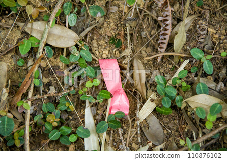 Pink tape used to mark landmarks in the mountains Pink tape used to mark landmarks in the mountains 110876102