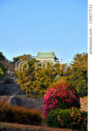 [愛知縣] 冬天的名古屋城和盛開的山茶花 110877512