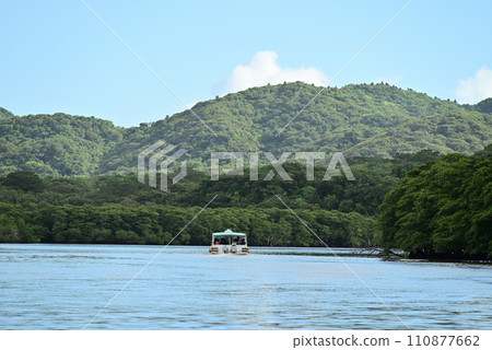 西表島仲間川紅樹林遊船 西表島仲間川紅樹林遊船 110877662