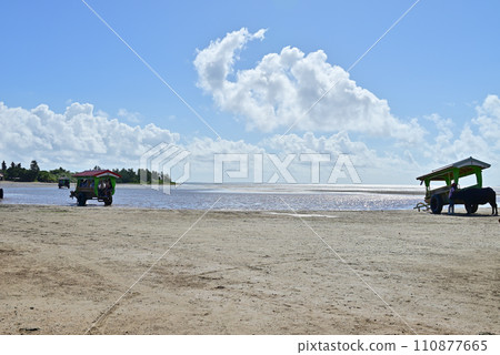 A water buffalo cart travels on the brightly lit sea surface 110877665
