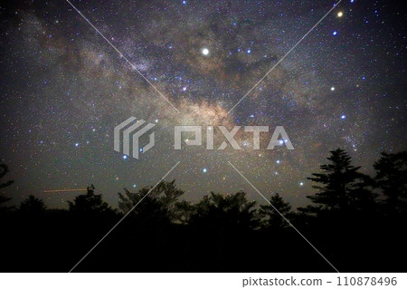 Milky Way over the forest 110878496