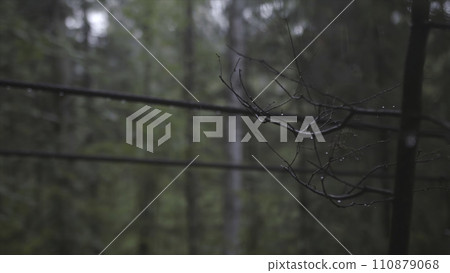 Side view of young tourist in yellow jacket with large camp trunk walking on the forest suspension bridge in rainy day. Stock footage. Hiking in the beginning of autumn 110879068