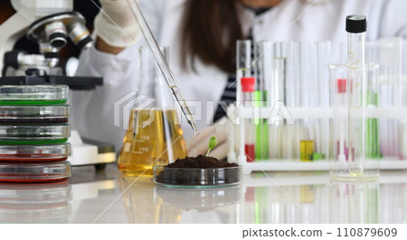 Woman in laboratory drips into soil with sprout 110879609