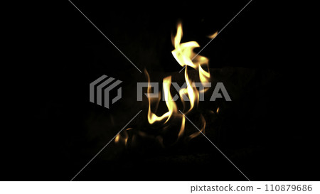 Burning wood in the fire. Camp fire in the night. Fire flames. Forest fire close up 110879686
