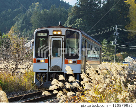 Kiha 11 type diesel train running through the pampas grass near Ise-Okutsu Station 110879985