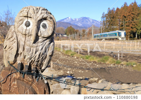 東武鬼怒川線“木雕貓頭鷹與倉崎花園” 110880198