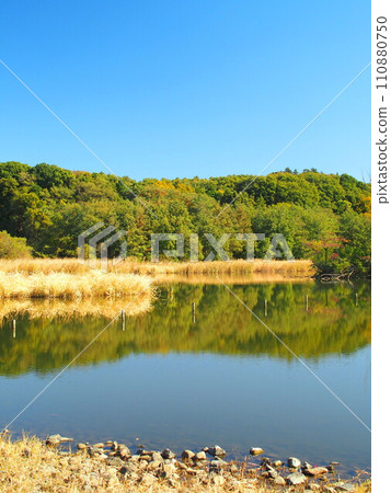 秋天的21世紀森林和廣場仙堀池塘和森林風景 秋天的21世紀森林和廣場仙堀池塘和森林風景 110880750