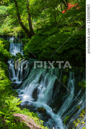 Spring in Karuizawa Town, Nagano Prefecture, Shiraito Falls with fresh greenery (downstream) 110880965