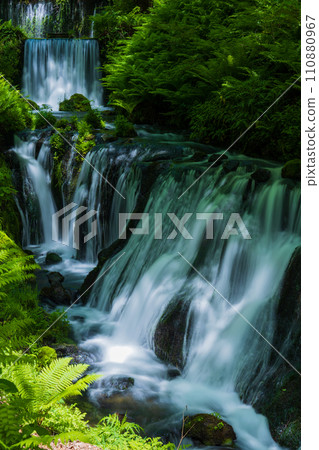 Spring in Karuizawa Town, Nagano Prefecture, Shiraito Falls with fresh greenery (downstream) 110880967