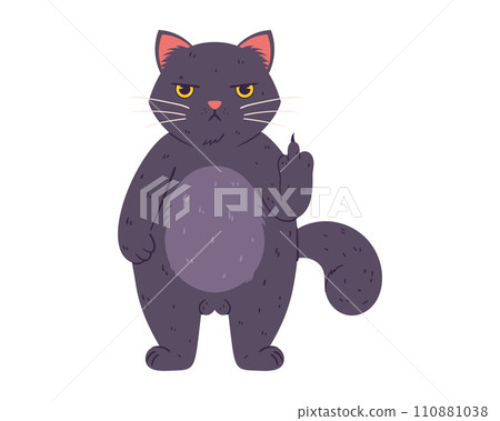 Grumpy cat a fat fluffy feline gray with yellow eyes. A frustrated character who doesn't like anything And he shows paw with his middle finger 110881038