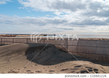 Sandy beach of Hiratsuka coast, bamboo fence/sand control fence 110881226