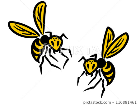 A wasp looking here. Isometric diagram. A wasp looking here. Isometric diagram. 110881461