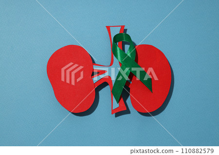 Health care concept, kidneys on a blue background. Health care concept, kidneys on a blue background. 110882579