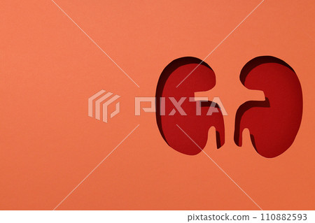 For National Kidney Month, paper cut kidneys on a peach background. For National Kidney Month, paper cut kidneys on a peach background. 110882593
