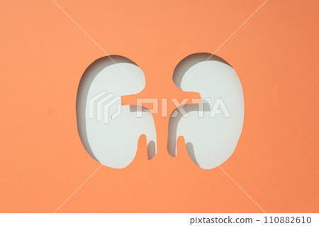 For National Kidney Month, paper cut kidneys on a peach background. 110882610