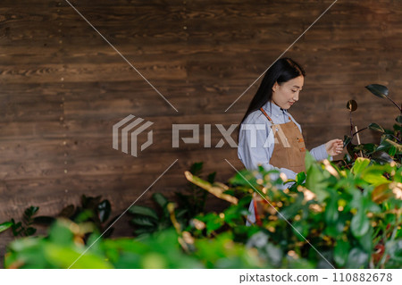 Young asian woman checks the condition of plants, for sale in her decorative plant shop. Gardener working in flower shop, plant store. Business, people and houseplants concept. 110882678