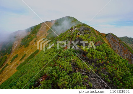通往神家口山頂的登山道 通往神家口山頂的登山道 110883991
