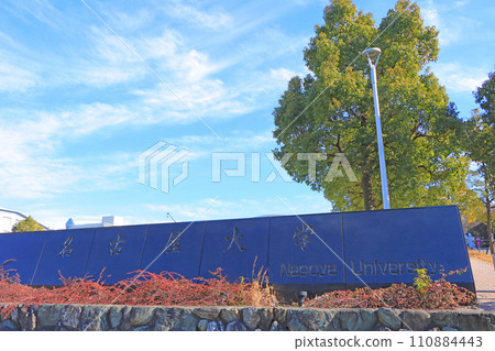 愛知縣名古屋市名古屋大學風景 110884443