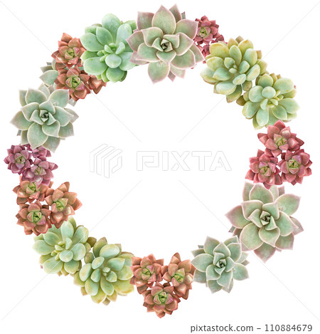 多肉植物水平植物花環 110884679