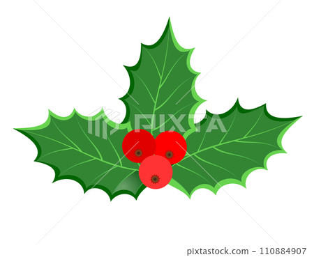 christmas holly berries stock vector - Stock Illustration [110884907 ...
