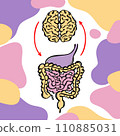 GUTS AND BRAIN Direct Relationship Care Human Health Medical Banner Lifestyle Of People Colorful Vector Illustration For Teaching 110885031