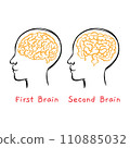 HUMAN INTESTINE IS SECOND BRAIN Medicine Human Health Lifestyle Teaching Students Vector Illustration Sketch Of Head On Banner 110885032