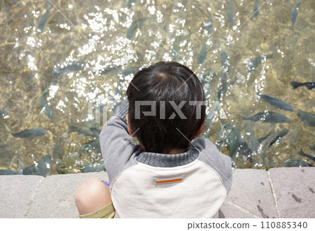 男孩和魚玩耍 男孩和魚玩耍 110885340