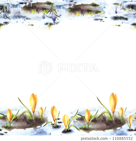 Watercolor painted illustration seamless frame border. Spring, the awakening of nature. Melting snow primary plants yellow lilac crocuses. Flowers sprouting through the snow Isolated white background 110885552