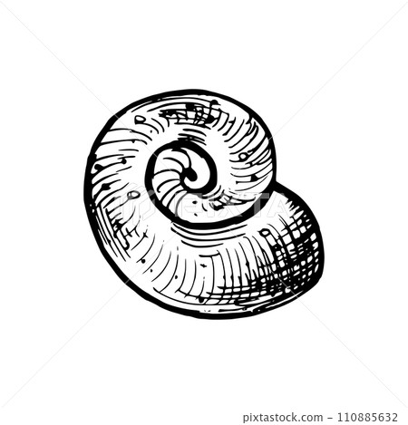 Underwater world clipart with seashell. Graphic illustration hand drawn in black ink. Isolated object EPS vector. Underwater world clipart with seashell. Graphic illustration hand drawn in black ink. Isolated object EPS vector. 110885632