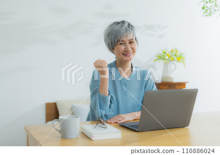 Senior woman using a laptop Senior woman using a laptop 110886024