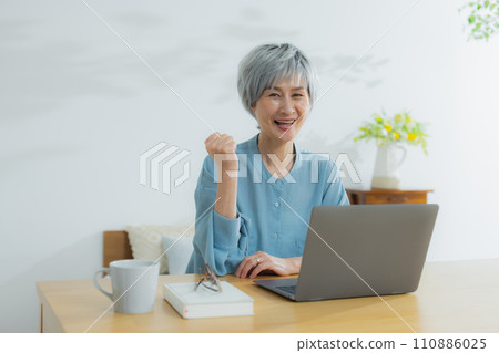 Senior woman using a laptop Senior woman using a laptop 110886025