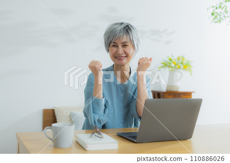 Senior woman using a laptop 110886026