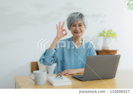 Senior woman using a laptop Senior woman using a laptop 110886027