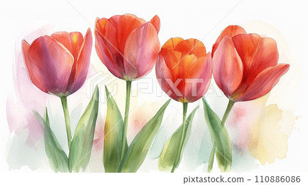 鬱金香花水彩 鬱金香花水彩 110886086