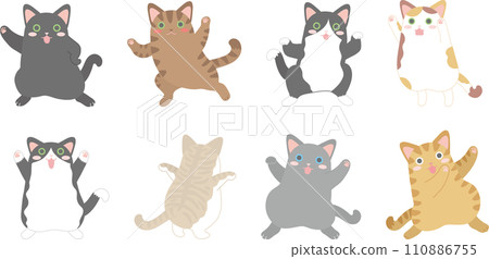 dancing cats_8 110886755