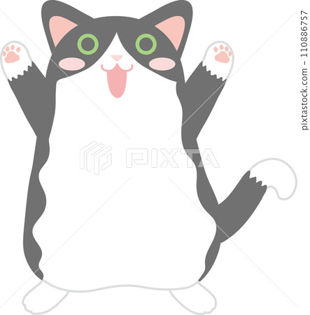 跳舞貓_黑白燕尾服貓_萬歲 110886757