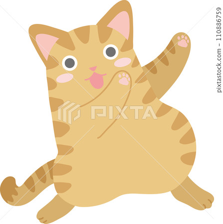 跳舞的貓_棕色虎斑貓 110886759