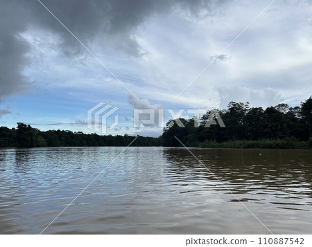 Rainforest Discovery Center. Sandakan is also the second largest town in Sabah, Malaysia. Known as the Natural City, Sandakan visitors have the opportunity to explore wildlife sanctuaries and discover 110887542