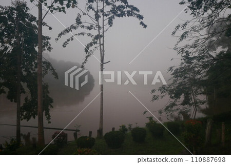 Rainforest Discovery Center. Sandakan is also the second largest town in Sabah, Malaysia. Known as the Natural City, Sandakan visitors have the opportunity to explore wildlife sanctuaries and discover 110887698