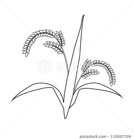 Rice farming icon Rice farming icon 110887709