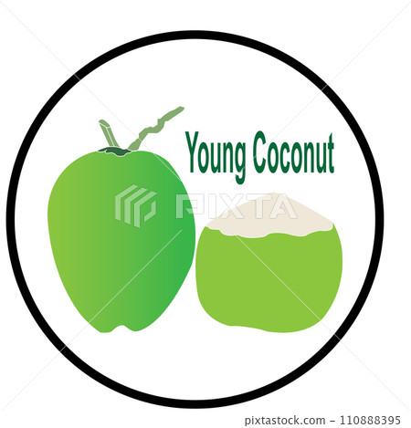 Young coconut icon Young coconut icon 110888395