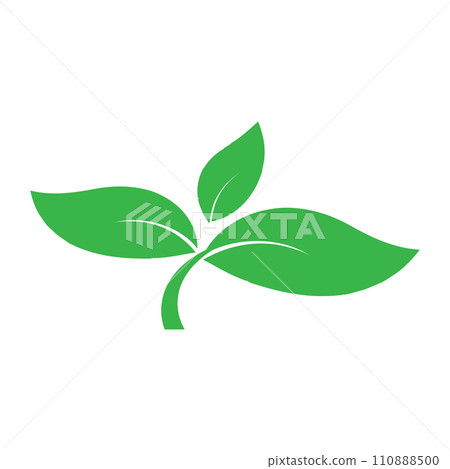 Leaf icon Leaf icon 110888500