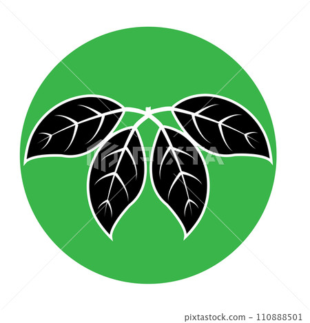 Leaf icon Leaf icon 110888501