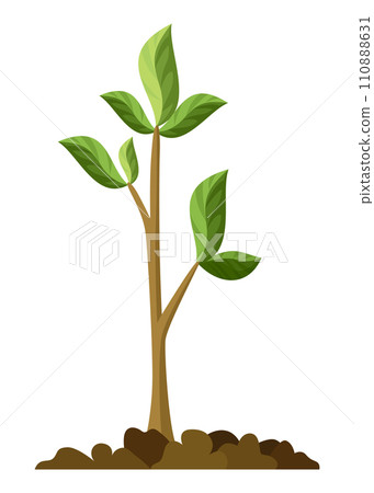 Stage of tree growth. Small tree growth with green leaf and branches. Illustration of business cycle development Stage of tree growth. Small tree growth with green leaf and branches. Illustration of business cycle development 110888631