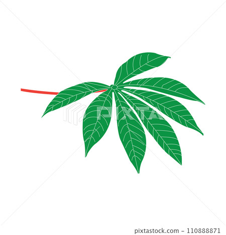 Cassava leaf icon 110888871
