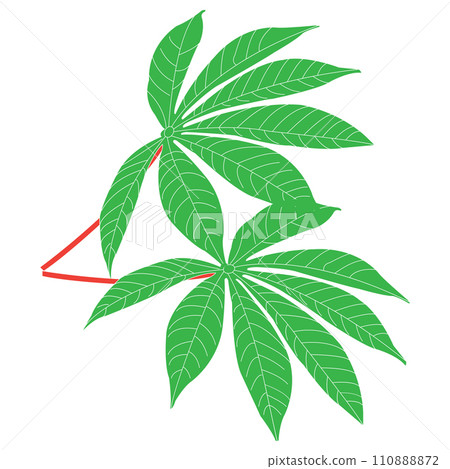 Cassava leaf icon 110888872
