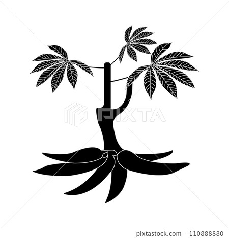 Cassava icon 110888880