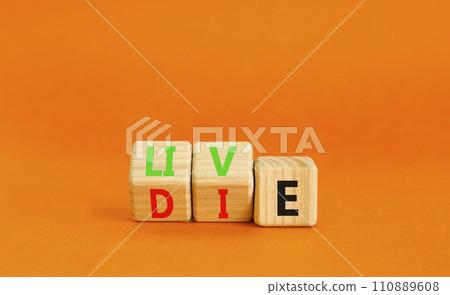 Live or die symbol. Concept word Live or Die on wooden cubes. Beautiful orange table orange background. Business lifestyle and live or die concept. Copy space. 110889608