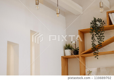 Modern interior, wooden shelf, plants 110889702