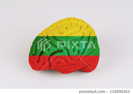 On a white background, a model of the brain with a picture of a flag - Lithuania 110890263